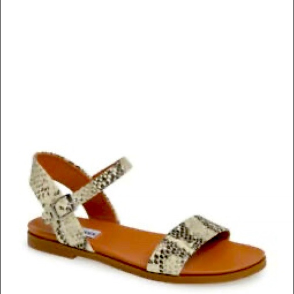 Steve Madden Flat Sandals